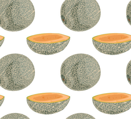 A whole melon and its half in a peel. Seamless pattern in vector. Suitable for backgrounds and prints.のイラスト素材