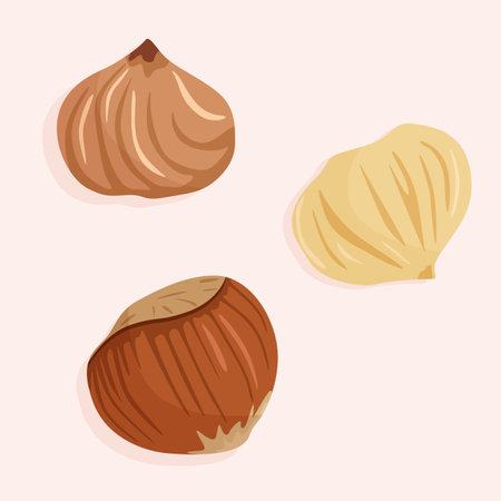 Hazelnuts in shell and without it. Healthy and dietary food. Nuts icons in vector graphics.のイラスト素材