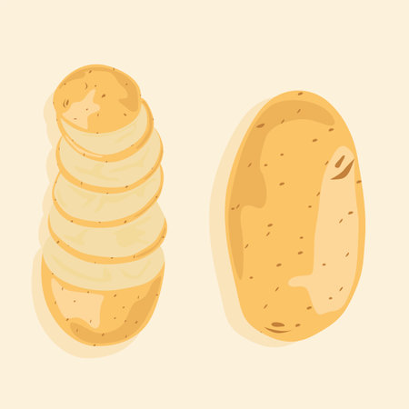 Whole potatoes and potatoes cut into slices. Vector icons of vegetables. Fresh wholesome foods.のイラスト素材