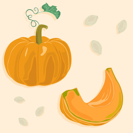 Whole pumpkin with leaf and its cut slice with seeds in the peel. Autumn vegetables. Healthy country food.のイラスト素材