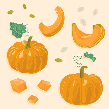 Pumpkin vector icons set. Autumn vegetables. Pumpkin whole and cut into pieces with pumpkin seeds and leaves.のイラスト素材