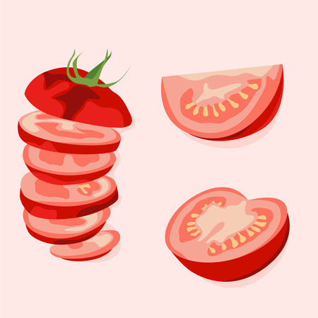 Sliced tomato and tomato slices with seeds. Vector flat illustration. Healthy food. Food poster.のイラスト素材