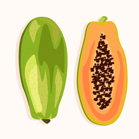 Papaya whole and halved. Exotic fruits.のイラスト素材