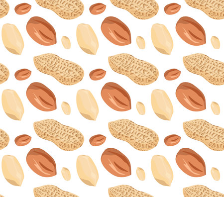 Peanut kernels are peeled and shelled at different angles.のイラスト素材