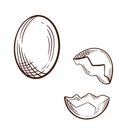 Hand-drawn sketch illustration of a whole egg and cracked eggshell isolated on white background, vector graphic art, black line and minimalistic styleのイラスト素材