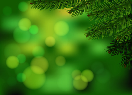Green fir branch background  Holiday green blurred background with realistic spruce branch  Vector のイラスト素材