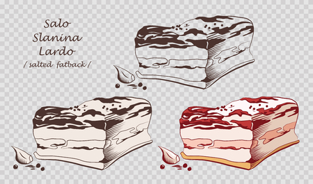 Piece of salo isolated on the pseudo transparent background. Slanina, solonyna, lardo. Salted or cured pork fat. Set of outline, black and white, colored images. Vector illustration. Icon, emblem, logo element.のイラスト素材