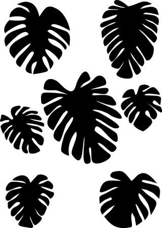 Collection of black on white leaves monstera. Isolated on white background. Tropical plant.のイラスト素材