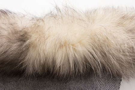 The fur of a Arctic,  polar fox Fox. Texture. Stock photo Top view. Close-up.の写真素材