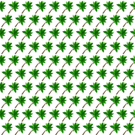 Watercolor tropical pattern. Painted palm trees on white background. Seamless pattern for printing on fabric, covers, wrapper, clothing, accessories.の写真素材