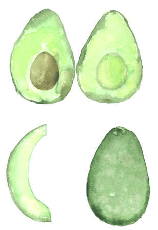 Green avocados whole, half and slice on white background. Watercolor illustration. Hand-drawn drawingの写真素材