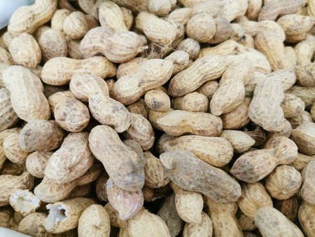 The fruits of peanuts in the shell, husk. Close-up photos