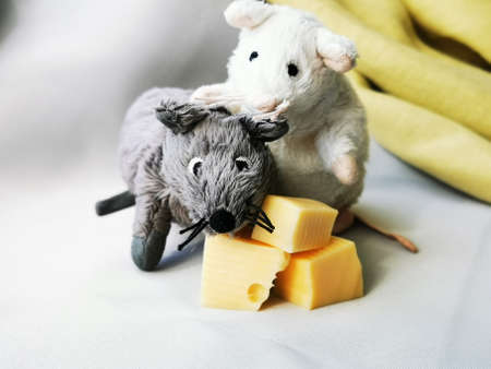 Two cute funny mouse with cheese, a symbol of the year 2020 on the astrological calendar. Photo of children's toys close-upの写真素材