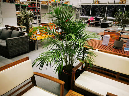 Kaliningrad, Russia - October 10, 2019: Department for sale of flowers and furniture for recreation, garden, Parkのeditorial素材