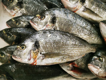 Dorada, fresh fish, sale in the store. Diet food. Mediterranean food. 