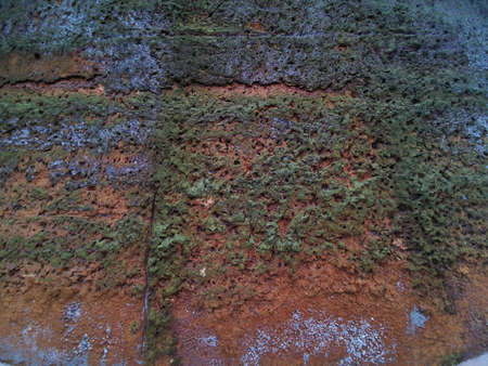 The old wall of the house with moss due to high humidity, traces of destruction and time. Grunge background. Background texture. Vintage pattern. Natural pattern. Vintage effect. の写真素材