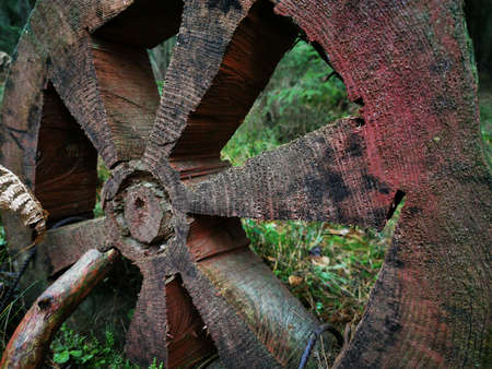 Beautiful closeup of wooden wheel for concept design. Landscape design on the Curonian spit in the forest. Travel transportation concept. Rural landscape.の写真素材