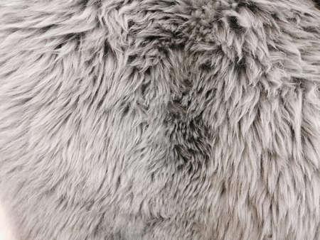 Fur rug, the surface of the sheepskin. Gray fur with a long NAP. A feeling of warmth and softness....