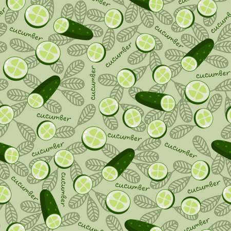 Green cucumber cut into circles pattern vectorのイラスト素材