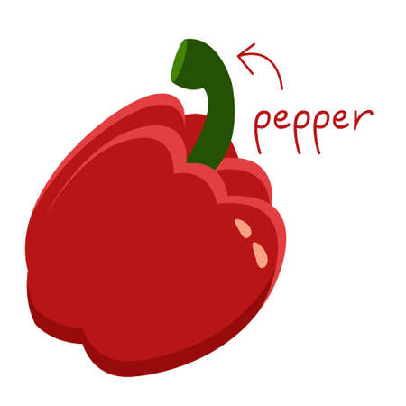 Fresh red pepper with lettering vector illustration.のイラスト素材