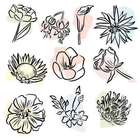 Different colors set of ten vector imageのイラスト素材