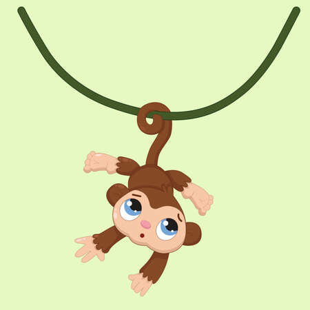 Cartoon little brown monkey on a vine and a solid backgroundのイラスト素材