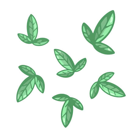 Green leaves Basil herb for pizza makingのイラスト素材