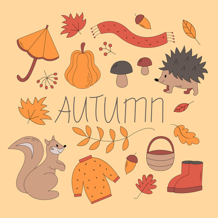 Vector set of autumn icons - sweater, falling leaves, cute hedgehog and squirrel. Scrapbook collection of fall season elements. Bright background for harvest time. autumn greetingsのイラスト素材