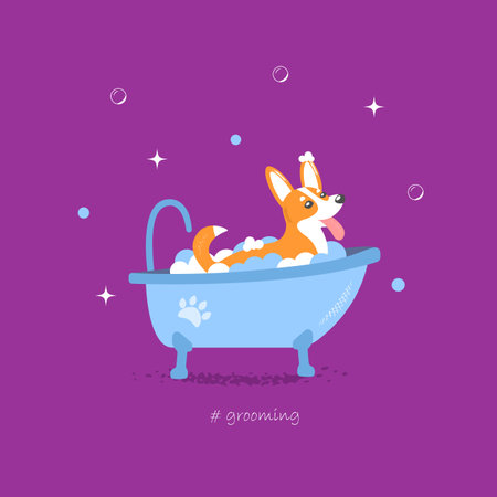Vector cartoon style illustration of cute happy corgi dog taking a bath full of soap foam, grooming washing concept, violet background, baby posterのイラスト素材