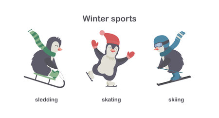 Three cute funny cartoon Christmas penguins skiing, sledding, skating. Flat Vector illustration with winter sports or Christmas leisure. Educational or greeting cardsのイラスト素材