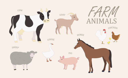 Farm animals, cow, pig, horse, sheep, goat, chicken, goose, poultry, vector illustration, sketch style set of animals, realistic animal products. school cardsのイラスト素材