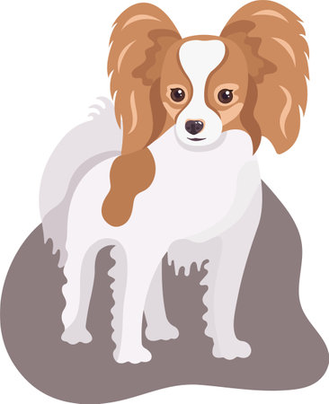 Cartoon papillon dog isolated on transparent background. Cute vector little pet. domestic animal.のイラスト素材