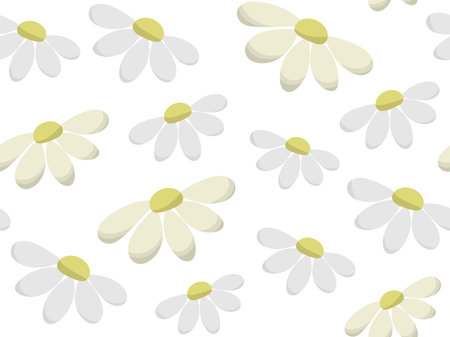 Seamless daisy pattern. Vector background with white wild chamomiles. Medical herbsのイラスト素材