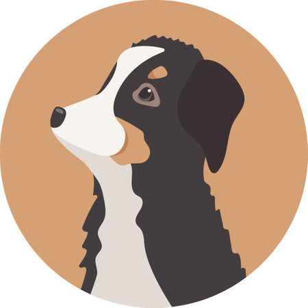 Vector Bernese Mountain dog avatar. Cute cartoon pet. Domestic animalのイラスト素材