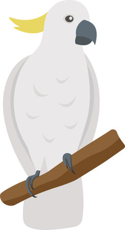 Cute flat cockatoo isolated on transparent background. Vector white parrot.のイラスト素材