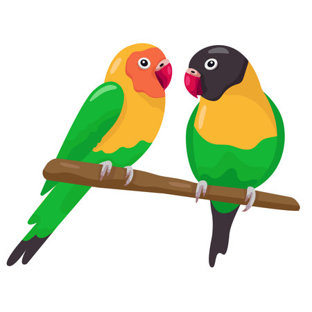 Cute flat vector love parrots sitting on a branch isolated on white background. Green and yellow small lovebirds. Talking realistic birds. Domestic animalsのイラスト素材