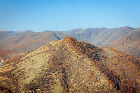 Golden autumn hills with scattered foliage in orange and brown, overlooking valleys under a clear...