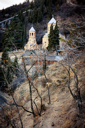 The Pantheon on Mtatsminda Mountain, surrounded by evergreen trees and winter vegetation, with a...