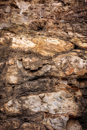 Close-up texture of a natural rocky cliff with rough surface and earthy tones. Ideal for backgrounds, textures, or geological themes. Shot in natural daylightの写真素材
