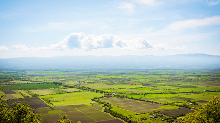 Vast panoramic view of Alazani Valley with green vineyards and fields under a bright blue sky in Kakheti, Georgiaの写真素材