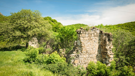Remains of an ancient stone structure partially hidden among dense greenery in a rural valley. Overgrown ruins under blue skyの写真素材