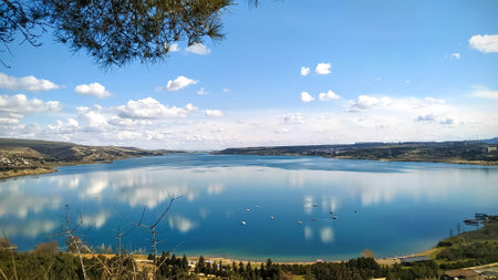 Scenic view of a calm lake reflecting white clouds and blue sky, surrounded by hills. Pine branches frame the top of the image, creating a peaceful spring landscapeの写真素材