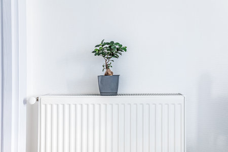 Small potted plant on top of a white radiator in a minimalistic bright interior, symbolizing home comfort, contrast of warmth and greeneryの写真素材