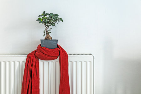 Red scarf wrapped around a potted bonsai plant sitting on a white radiator in a minimalist interior
