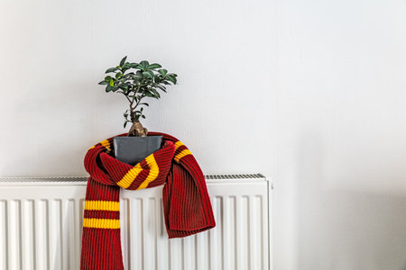 Red and yellow striped knitted scarf wrapped around a potted plant on a white radiatorの写真素材