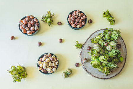 Top view of hazelnuts in different stages: fresh in green husks, raw in shells, and shelled nuts, all arranged in bowls and on a wooden slice. Natural organic food concept on a pastel backgroundの写真素材