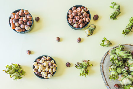 Flat lay of hazelnuts at various stagesの写真素材