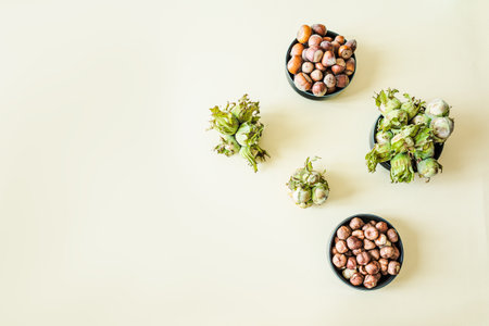 Top view of hazelnuts in green husks, shelled, and raw arranged in bowls with copy space on the left. Minimal natural food styling for healthy eating and organic lifestyle conceptsの写真素材