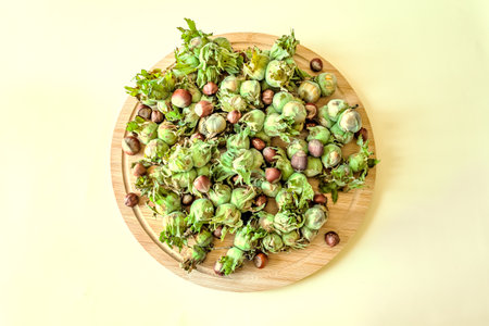 Vertical top view of organic hazelnuts in green husks and shells on a wooden plate. Minimalist seasonal food layout on pastel yellow background with copy spaceの写真素材