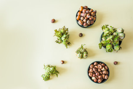 Vertical flat lay of hazelnuts at different stagesの写真素材